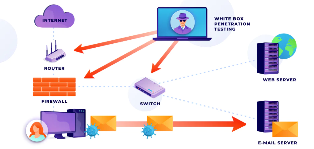 What is white box penetration testing.